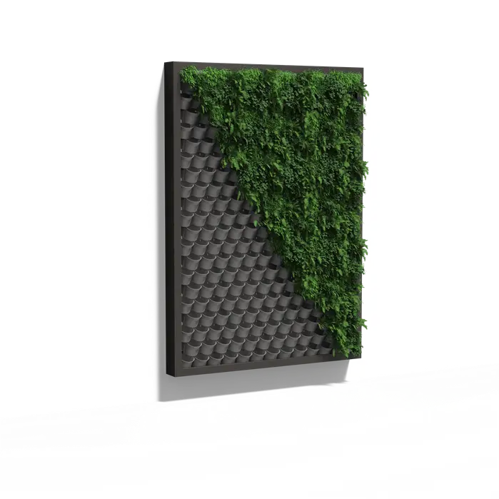 Pflanzenwand, hängendes Wandsystem
