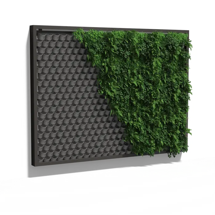 Pflanzenwand, hängendes Wandsystem