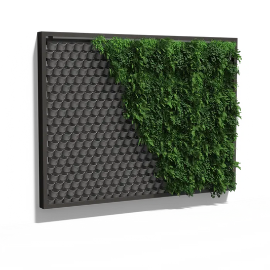 Pflanzenwand, hängendes Wandsystem