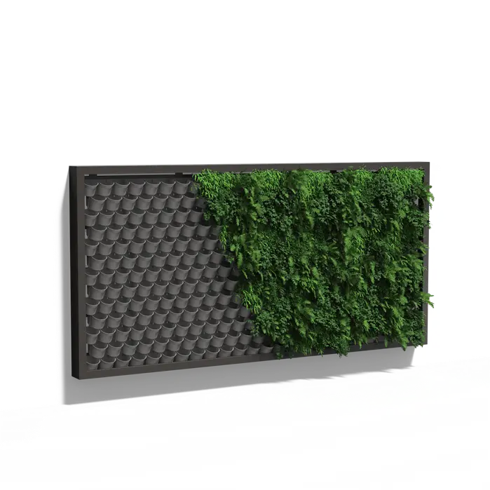Pflanzenwand, hängendes Wandsystem