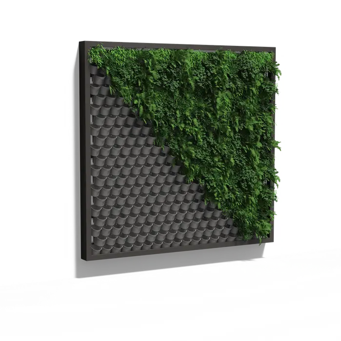 Pflanzenwand, hängendes Wandsystem
