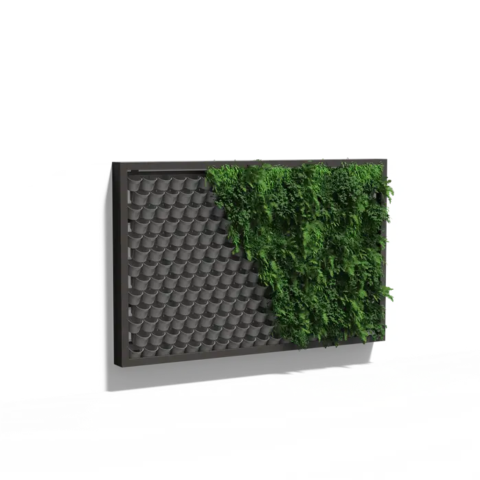 Pflanzenwand, hängendes Wandsystem