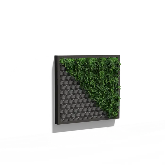Pflanzenwand, hängendes Wandsystem