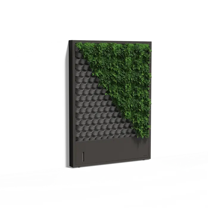Pflanzenwand, stehendes Wandsystem