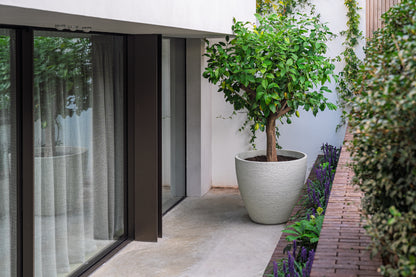 Pflanzkübel, LIV, Stonecore